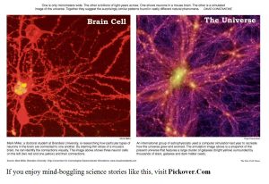 neuron-galaxy_comparison_231214